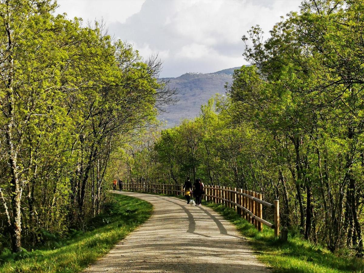 El Triskel De Chumbea, Alojamiento Excepcional Con Maravillosas Vistas A 5Km De Bejar Navalmoral de Bejar Exterior photo